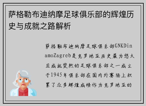 萨格勒布迪纳摩足球俱乐部的辉煌历史与成就之路解析